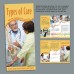 LB - Types of Care