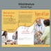LB - Types of Care