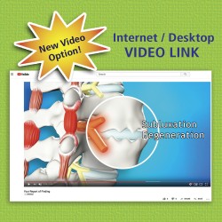 VIDEO "LINK" OPTION
