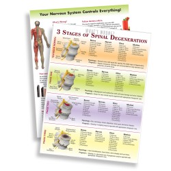 Handout - 3 Stages of Spinal Degen (2-sided)