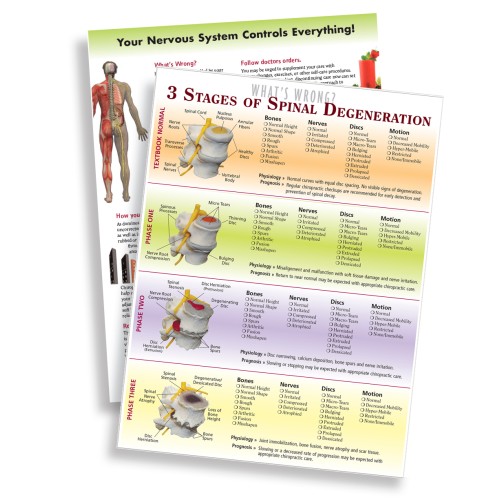 Handout - 3 Stages of Spinal Degen (2-sided)