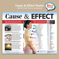 Poster - Cause & Effect