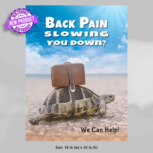 Poster - Back Pain Turtle