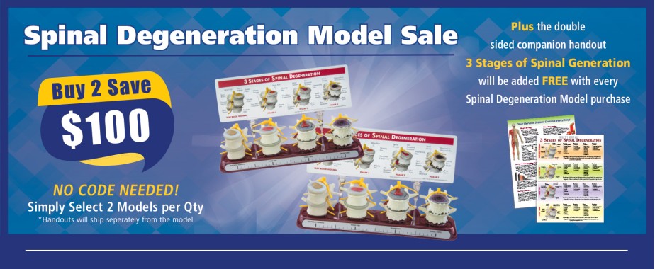 Stages of Spinal Degeneration