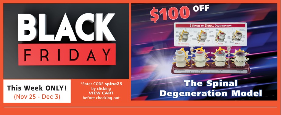 Stages of Spinal Degeneration