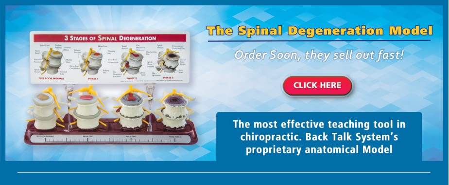 Stages of Spinal Degeneration