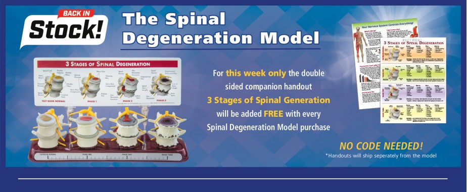 Spine Model