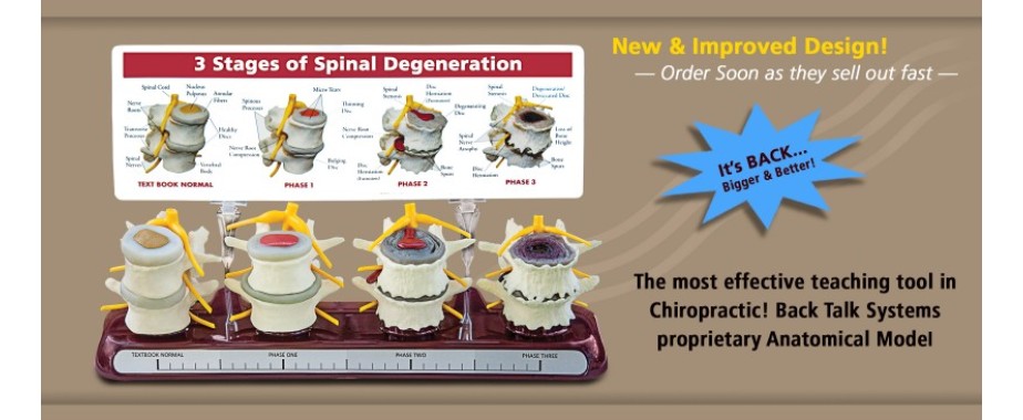 Stages of Spinal Degeneration